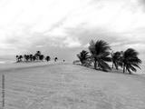 preview bw