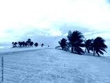preview cold