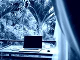preview cold