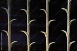 preview original
