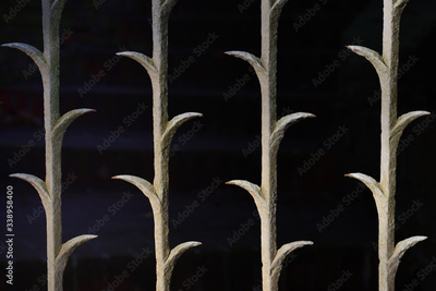 image to crop