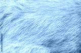 preview cold
