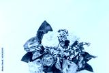 preview cold