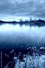 preview cold