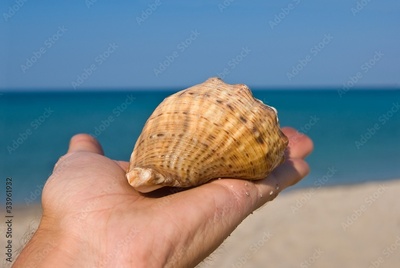 image to crop