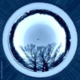 preview cold