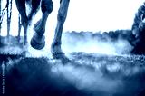 preview cold
