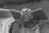 preview bw