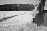 preview bw