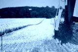 preview cold