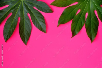 image to crop