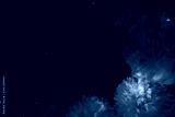 preview cold