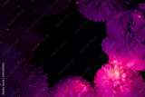 preview original