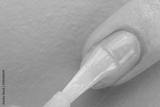 preview bw
