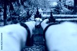 preview cold