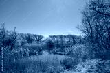 preview cold