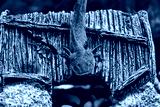 preview cold
