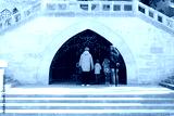 preview cold