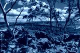 preview cold
