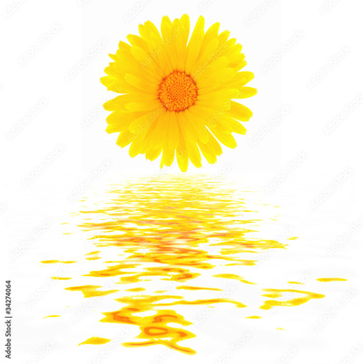 image to crop