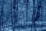 preview cold