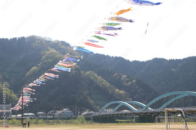 image to crop