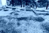 preview cold