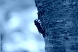 preview cold