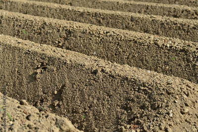 image to crop