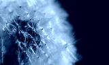 preview cold