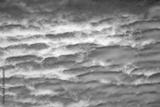 preview bw
