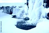 preview cold