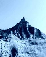 preview cold