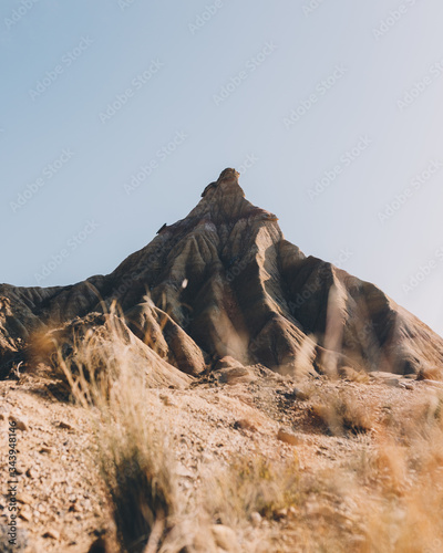 image to crop