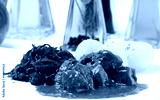 preview cold