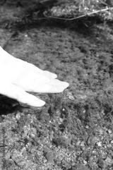 preview bw