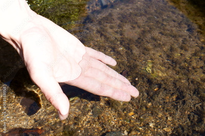 image to crop