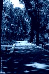 preview cold