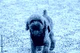 preview cold