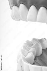 preview bw