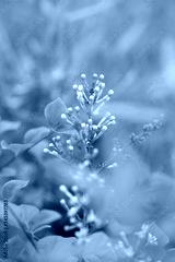 preview cold