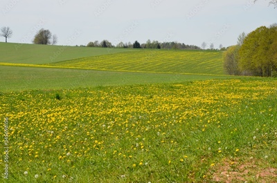 image to crop