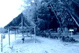 preview cold