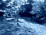 preview cold