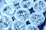 preview cold