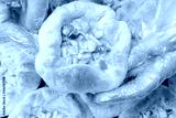 preview cold