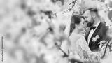 preview bw