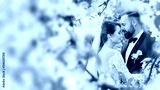 preview cold