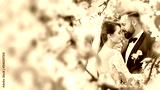 preview sephia