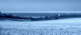 preview cold